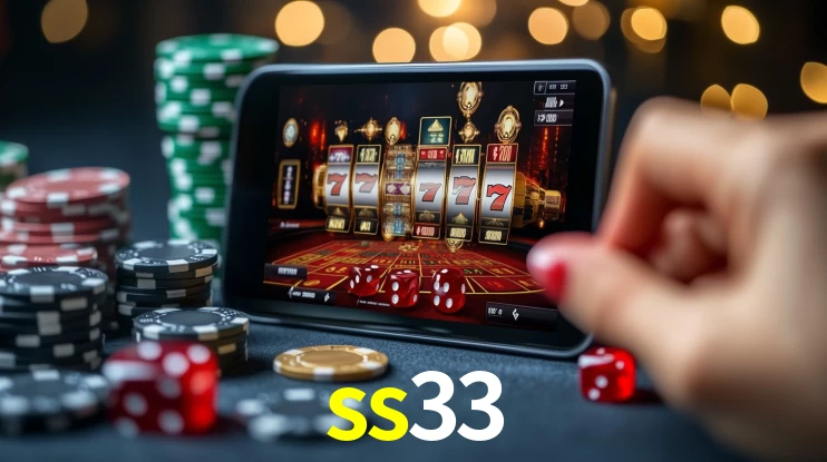 Premium Interface ss33